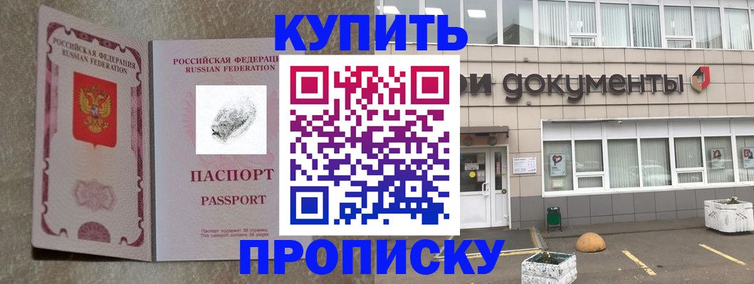 временная регистрация гарантия в Коле